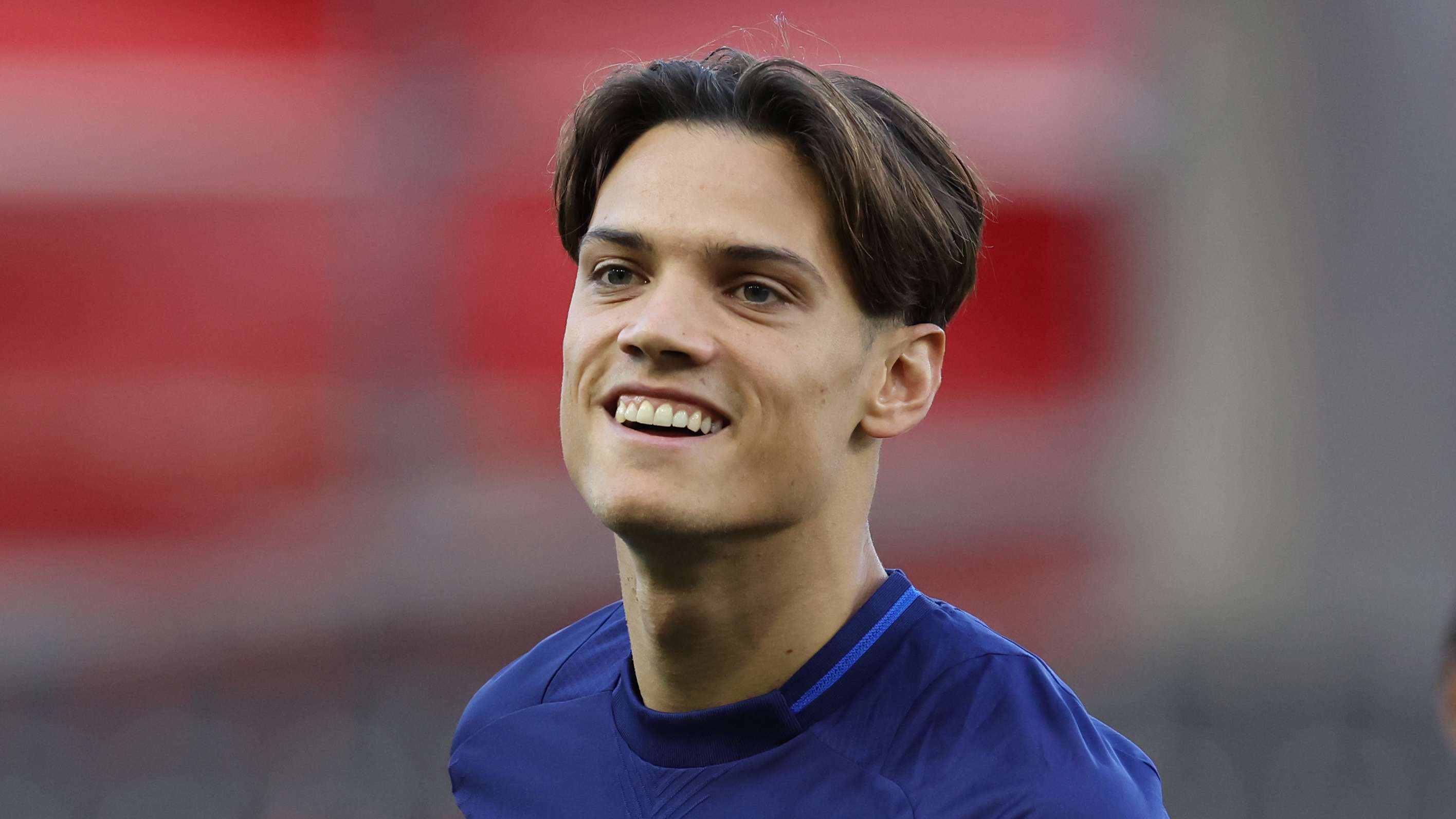 迷的热情参 迷的热情参